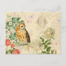 Buscar búho hermoso postales Para ella