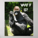 Buscar mono salvaje posters Para todos