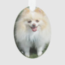 Buscar pomeranian decoracion Perrito