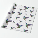 Buscar colibrí papel de regalo Colibri
