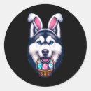 Buscar perro de pascua postales Conejos