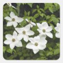 Buscar kevin pegatinas Flor