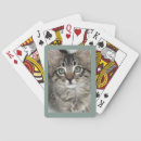 Buscar ojos azules barajas de cartas Gato