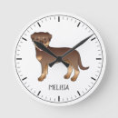 Buscar rottweiler relojes de pared Canino