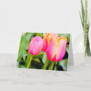 Buscar híbrido tarjetas Floral