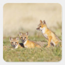 Buscar vulpes pegatinas Zorro veloz