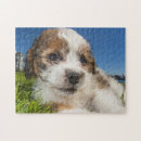 Buscar perritos lindos puzzles Animal