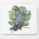Buscar congo electronica Gris