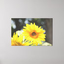 Buscar girasol lienzos Verde