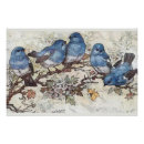 Buscar mariposa azul arte Naturaleza