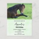 Buscar ponie fotografía Equino