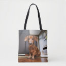 Buscar animales bolsos Dachshund