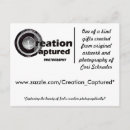 Buscar creaciones postales Fotografía