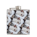 Buscar cachorro petacas Animal