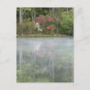 Buscar mojado postales Flor