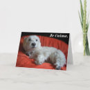 Buscar westie valentine tarjetas Amor