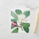 Buscar acuarela verde postales Flores
