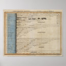 Buscar longitudes posters Ríos