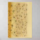 Buscar neurona posters Anatomía