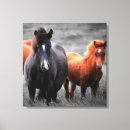 Buscar caballo hermoso lienzos Semental
