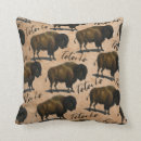 Buscar viejo oeste cojines Búfalo