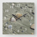 Buscar conchas relojes de pared Playa