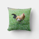 Buscar gallinas cojines Pollo