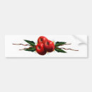 Buscar manzanas pegatinas parachoque Elegante