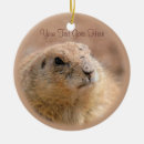 Buscar ornamentos del perro Lindo