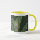 Buscar caterpillar tazas Insecto