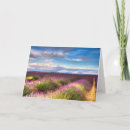 Buscar provence tarjetas Lavanda