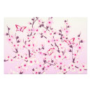 Buscar cerezas fotografía Para ella