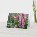 Buscar flores altas tarjetas Naturaleza