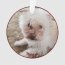 Buscar huella adornos General y unisex