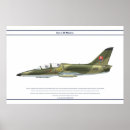 Buscar avión de aire posters Fuerza