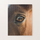 Buscar cabeza de caballo puzzles Animal