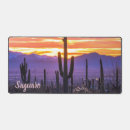 Buscar tucson fotografía Cactus