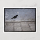 Buscar twitter postales Pájaro