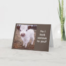 Buscar vaca feliz tarjetas General y unisex