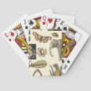 Buscar butterfly barajas de cartas Insects