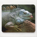 Buscar fauna alfombrillas de raton Animal