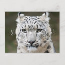 Buscar extinto tarjetas e invitaciones Gran gato