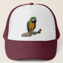 Buscar anaranjada gorras Pájaro