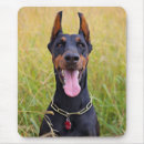Buscar pinscher alfombrillas de raton Animal