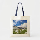 Buscar paso bolsos California