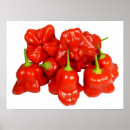 Buscar chile picante posters Verde