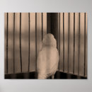 Buscar jaula de pájaros posters General y unisex