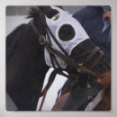 Buscar pura sangre posters Caballo
