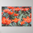 Buscar flores rojas posters Para todos