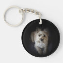Buscar canina llaveros General y unisex